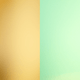 skucolor