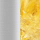 skucolor