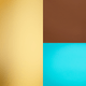skucolor