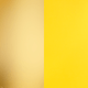 skucolor