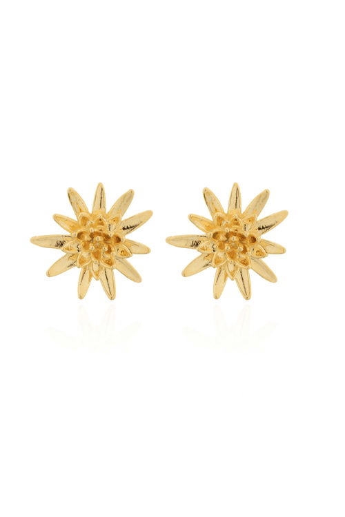 Brinco Flor Trabalhada