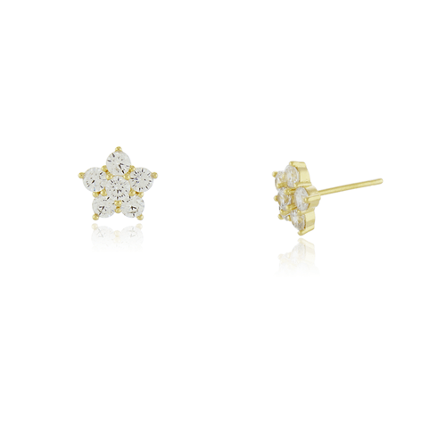 Brinco Flor Pedras Círculos