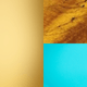 skucolor