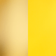 skucolor