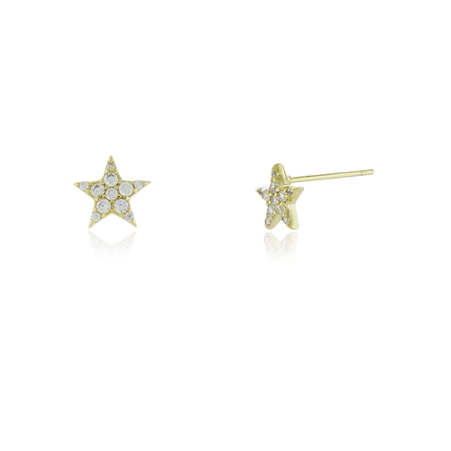 Brinco Estrela Cravejada