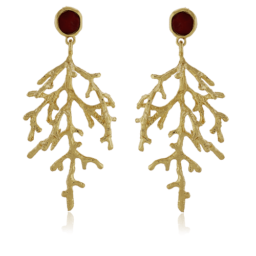 Brinco Pedra Círculo Galho Pendurado